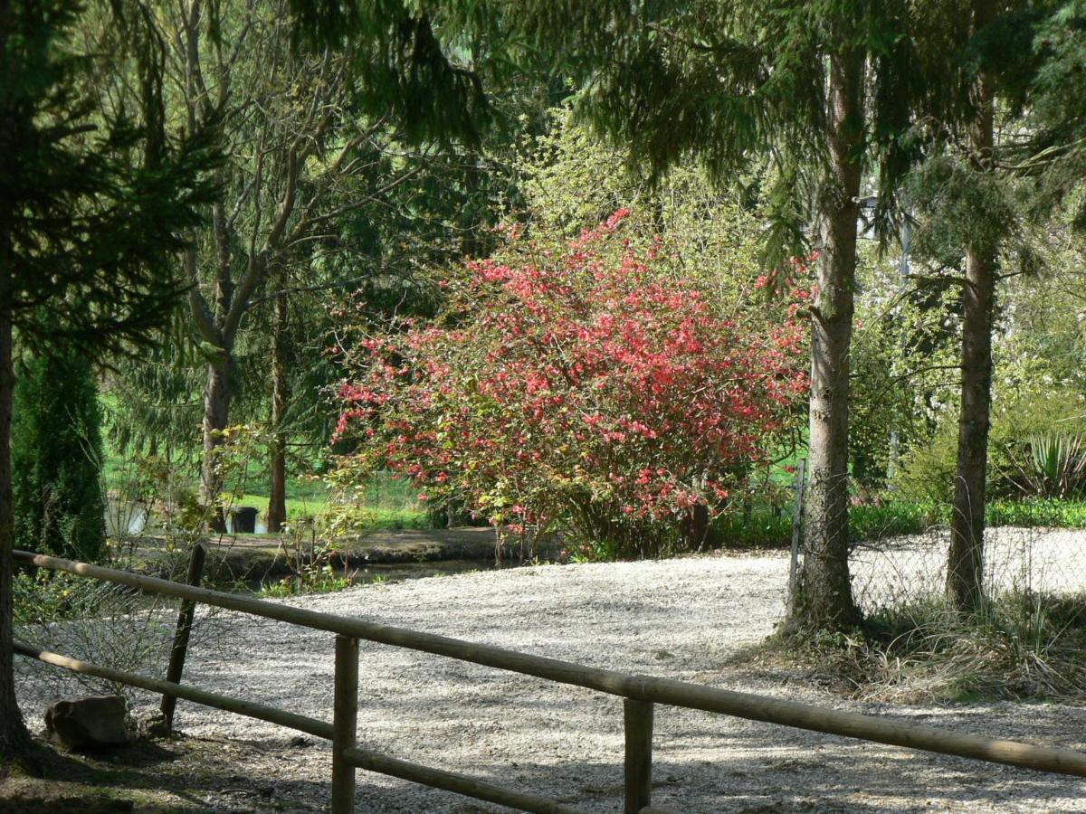 Etangs Du Moulin Hotel Suzy Quarto foto